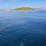 شقة Trinacria